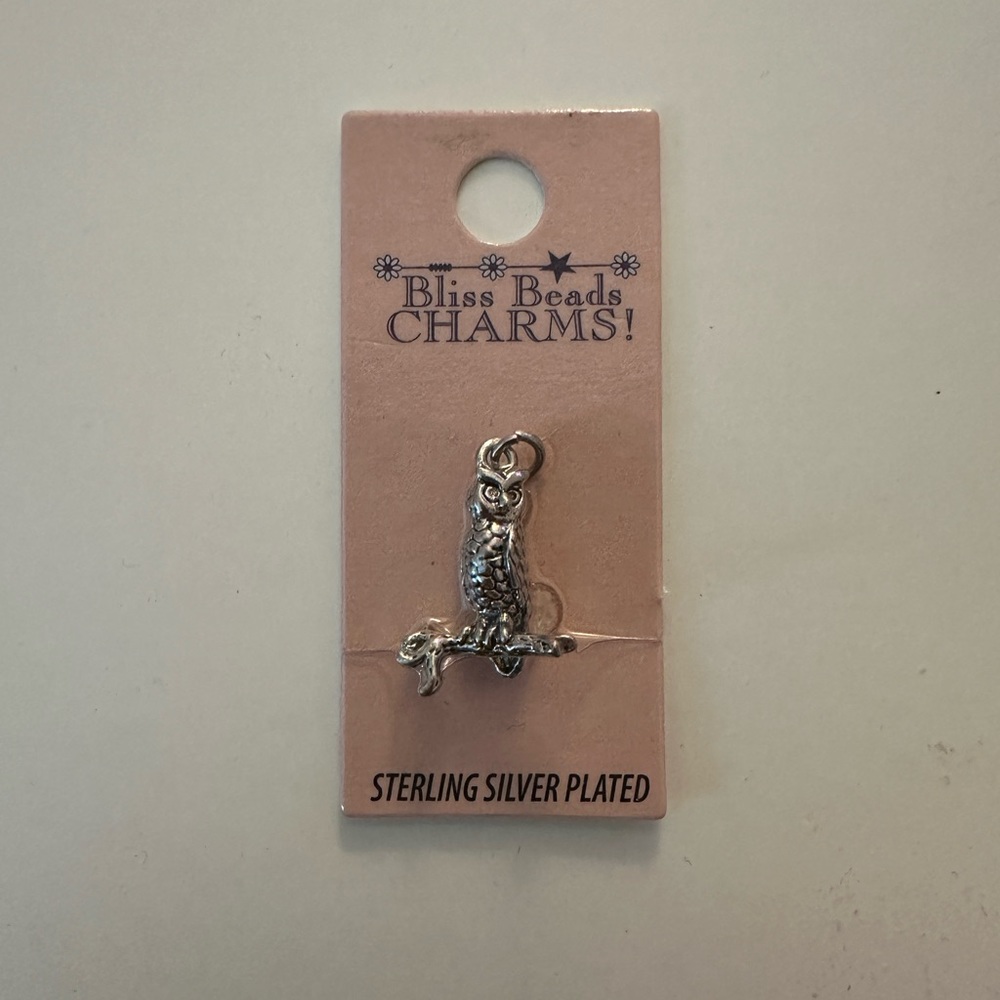 NWT Charm or pendant